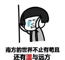 对抗湿滑，玉金山大菠萝视频app在线下载无惧回南天